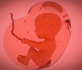 给婴幼儿无锡捐卵宝宝添加辅食应避免“四大罪过”